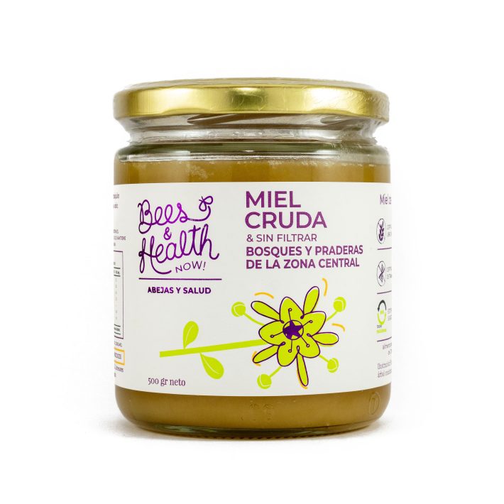 Miel Cruda sin Filtrar 500g Bees & Health